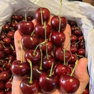 Cerejas e frutas especiais da Casa das Frutas L&M
